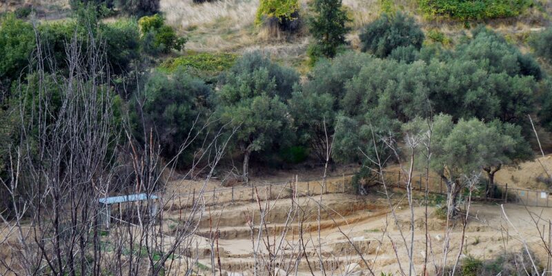 area delle fate rose cs 5