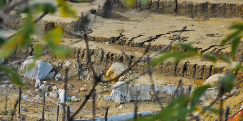 area delle fate rose cs 6